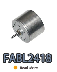 BL2418i, BL2418, B2418M, 24 mm small inner rotor brushless dc electric motor.webp